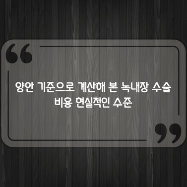 양안 기준으로 계산해 본 녹내장 수술 비용 현실적인 수준 1 양안 기준으로 계산해 본 녹내장 수술 비용 현실적인 수준